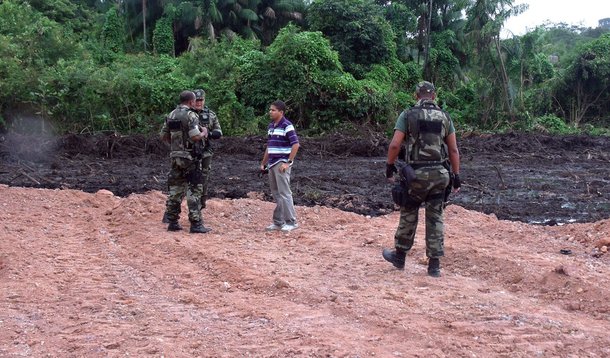 UFRPE é acusada de desmatamento ilegal