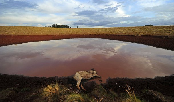 Seca deixa 312 cidades do RS em estado de emergência