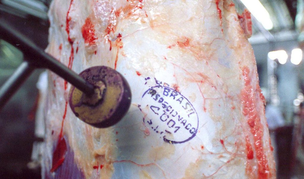 Exportação de carne subiu 11,65% em 2011