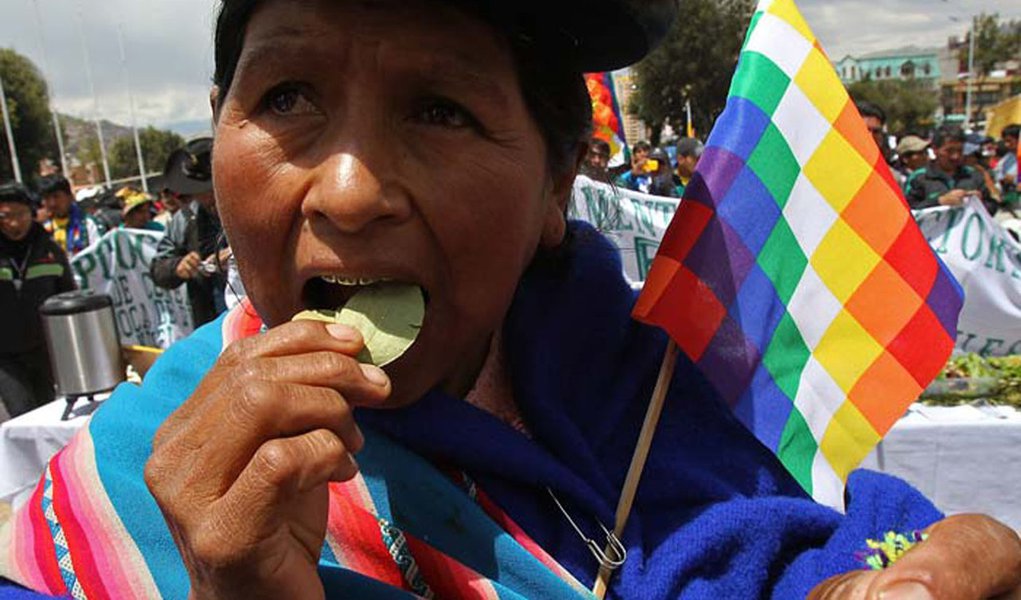 ONU reconhece direito de se mastigar folha de coca