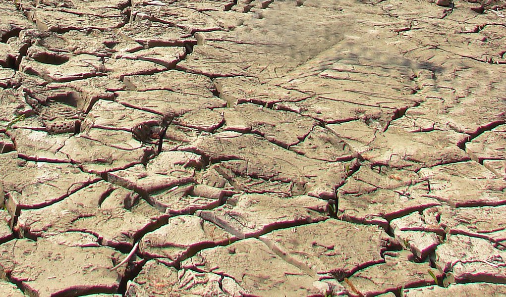 Banco do Nordeste abrirá financiamento de R$ 1 bi