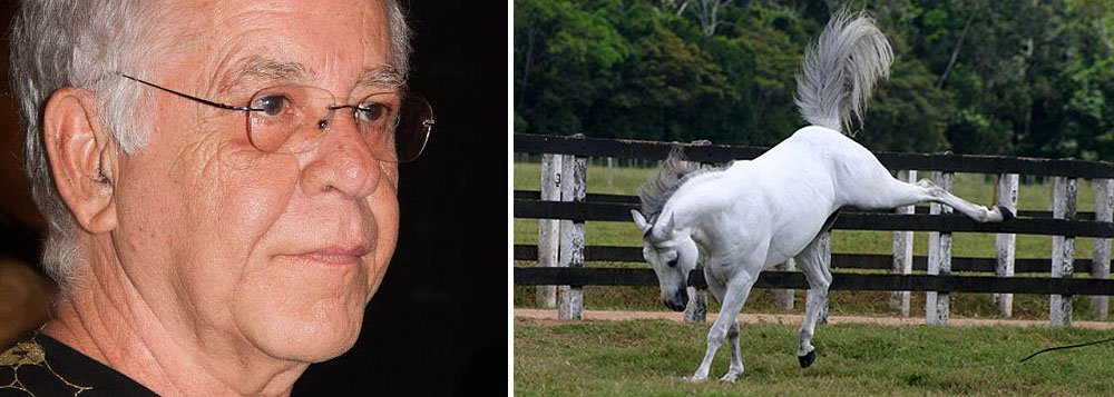 Sem coices, Nelson Motta faz boa análise política