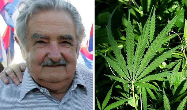 Agora é oficial: Uruguai vai estatizar a maconha