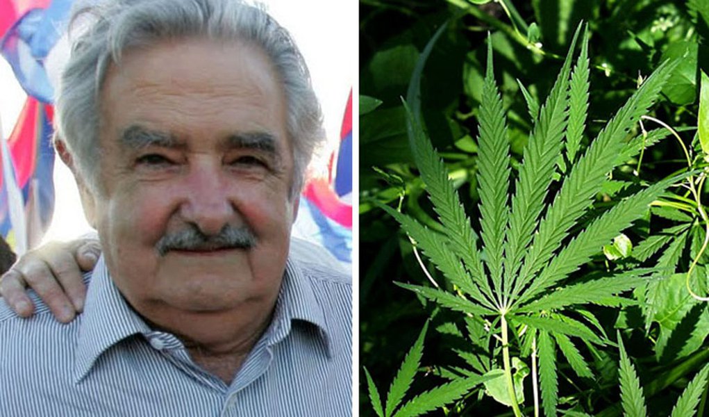 Agora é oficial: Uruguai vai estatizar a maconha