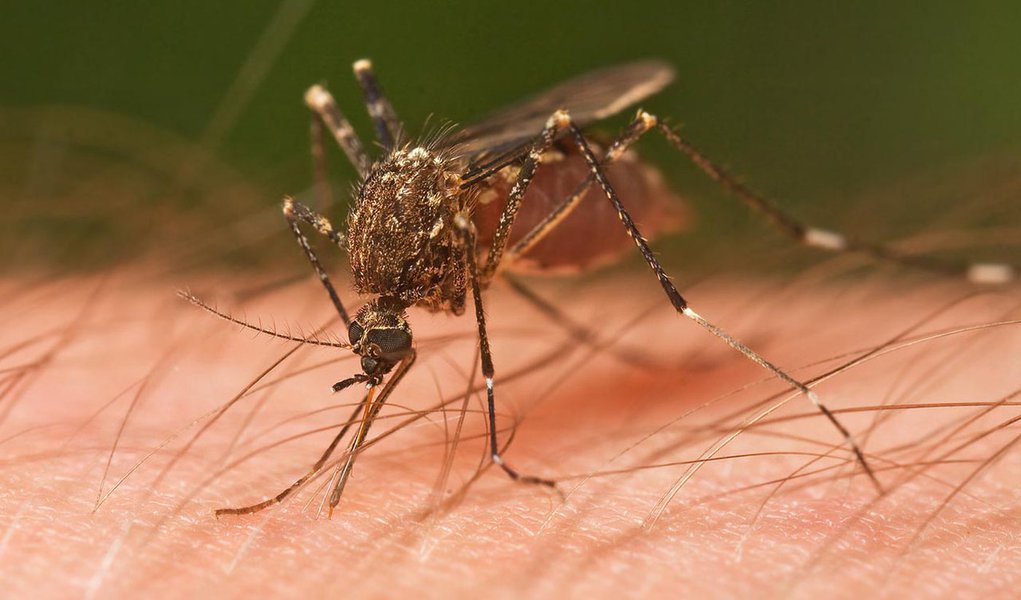 Estado recebe R$ 8,5 mi para combate à dengue