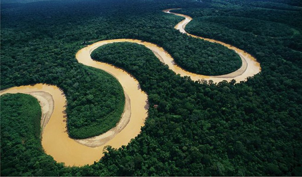 Amazonas só tem uma delegacia especializada em ambiente