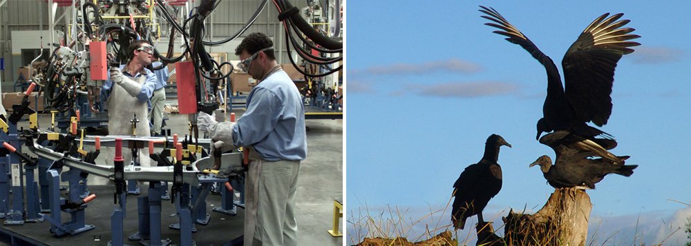 Dados positivos da indústria dão desespero na urubulândia