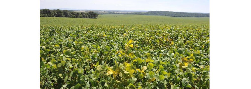 Goiás deve aderir ao Cadastro Ambiental Rural