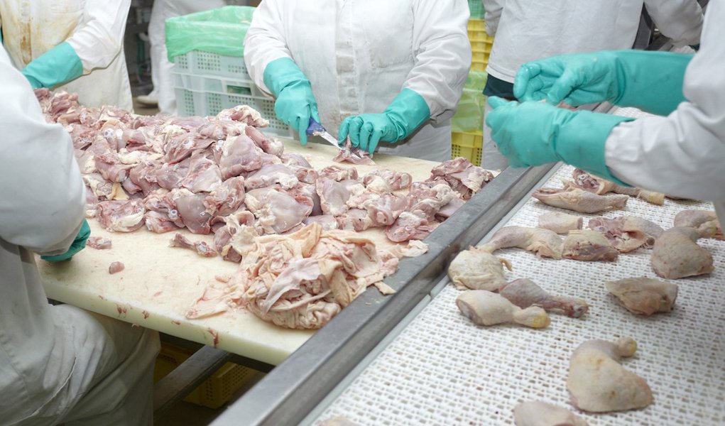 Dispara exportação de frango brasileiro à Venezuela