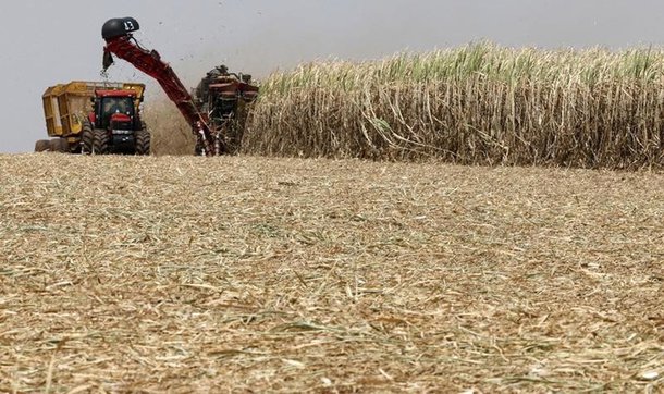 Safra de cana 2015/2016 deve crescer 3,2%, aponta Conab