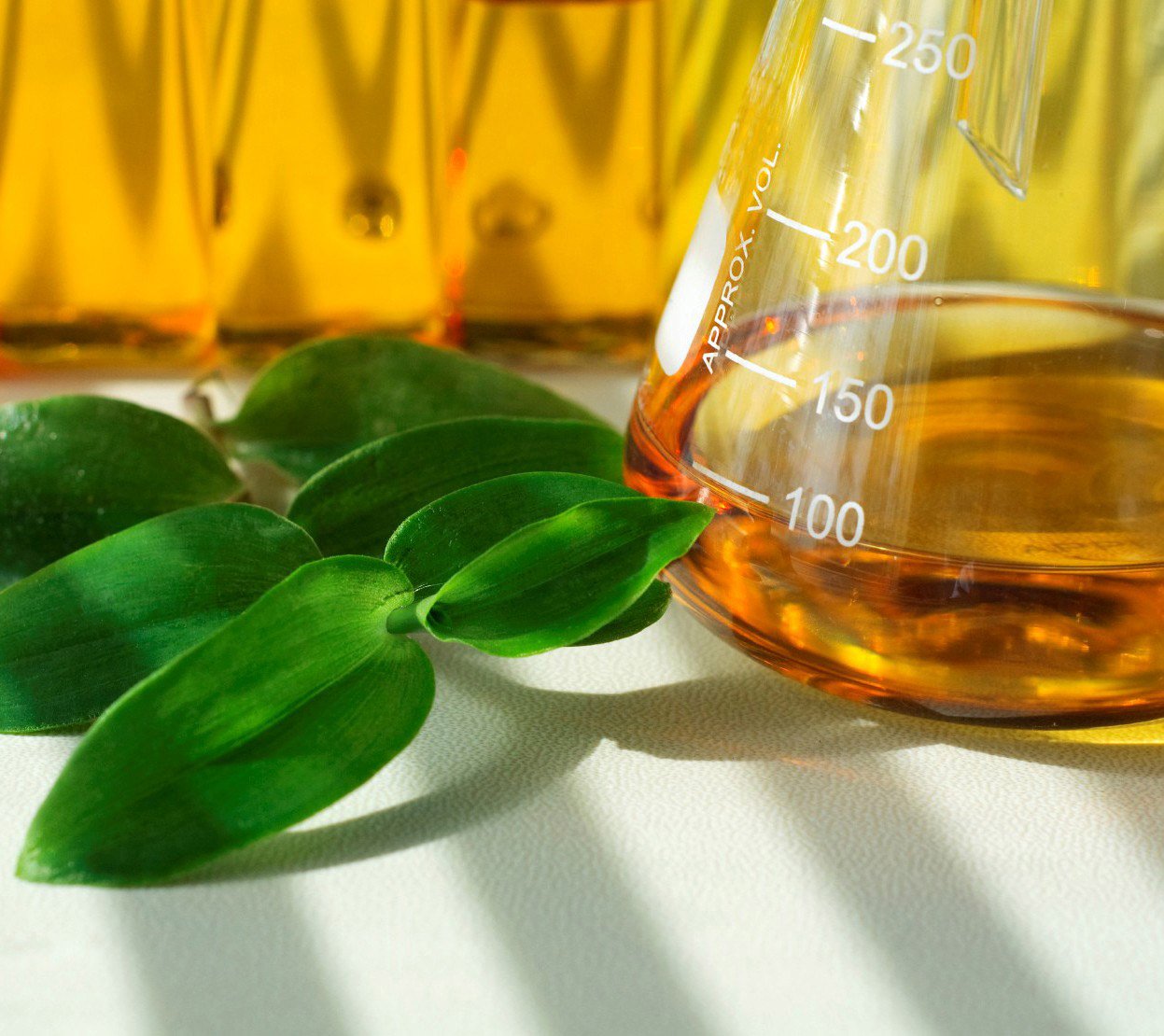 Leilão de biodiesel tem deságio médio de 19,6%