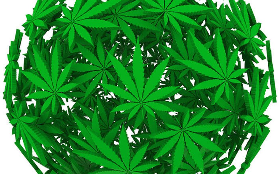 Maconha clínica. Benefícios e danos da cannabis 