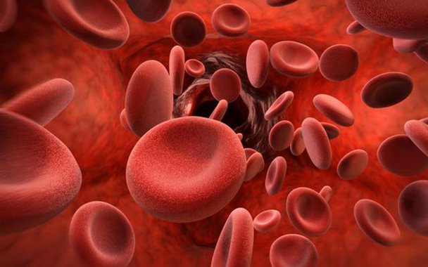 Hemofilia. Terapia genética pode curar essa rara doença do sangue
