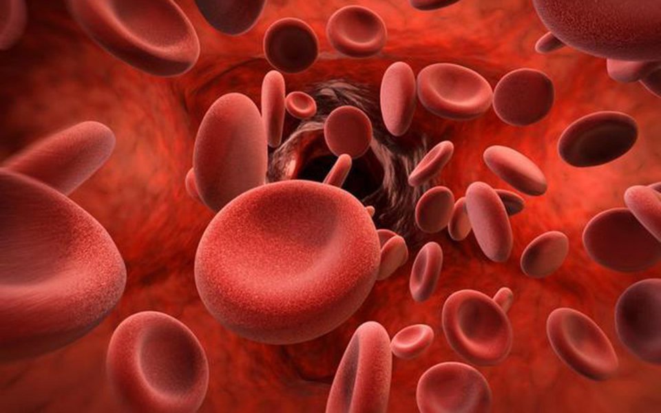 Hemofilia. Terapia genética pode curar essa rara doença do sangue