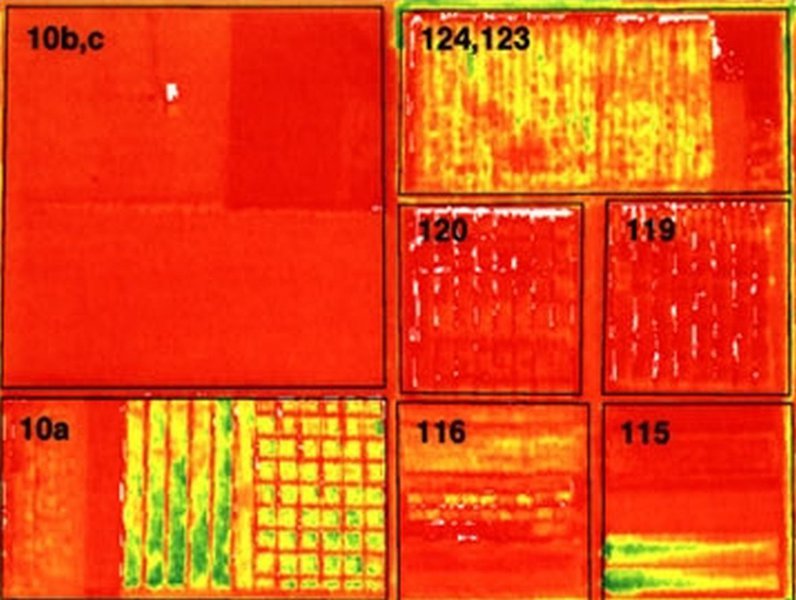 Sensores e big data orientarão na tomada de decisão do produtor rural