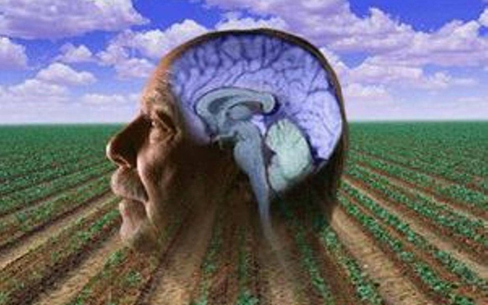 Mal de Parkinson. Pesticida é importante fator de risco