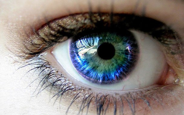 Cada olho, uma cor. Nosso cérebro "fabrica" as cores