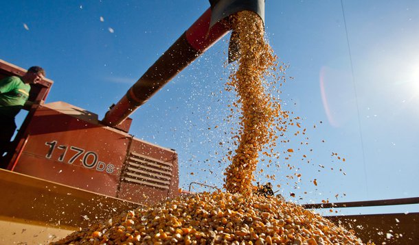 'Agricultura digital' promove concentração de poder na cadeia alimentar humana
