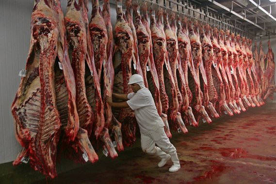 A farsa do sucesso do agronegócio e a crise da pecuária brasileira