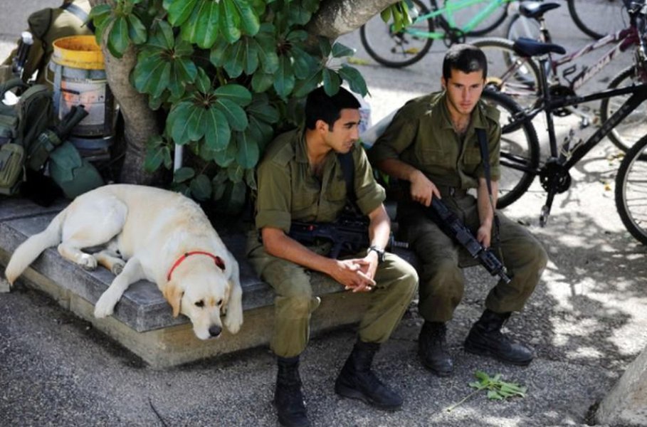 Israel diz que Hamas tentou hackear celulares de soldados com aplicativo da Copa do Mundo