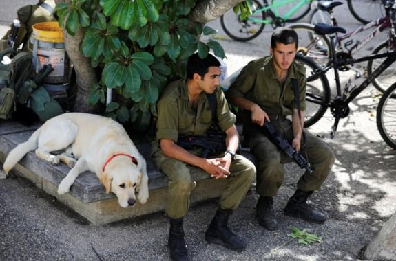 Israel diz que Hamas tentou hackear celulares de soldados com aplicativo da Copa do Mundo