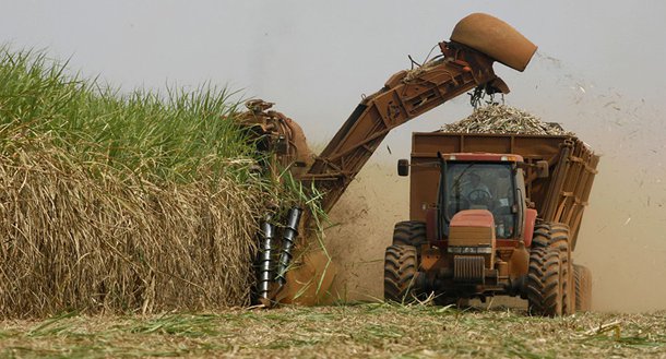 Campo registra menos empregos e mais agrotóxicos, diz IBGE