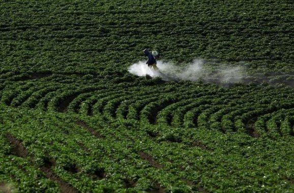 Operação Webcida embarga empresas que vendiam agroquímicos pela Internet