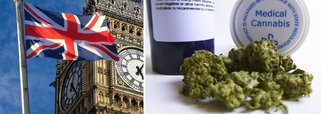 Reino Unido libera uso de maconha medicinal, mas exige prescrição médica