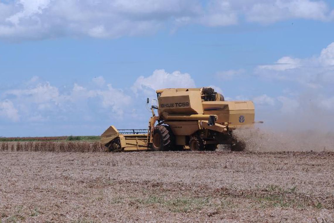 Confiança no agronegócio cai 8,6 pontos no trimestre, diz Fiesp
