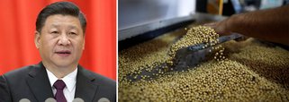 Em guerra comercial com EUA, China abre espaço para o Brasil como parceiro estratégico