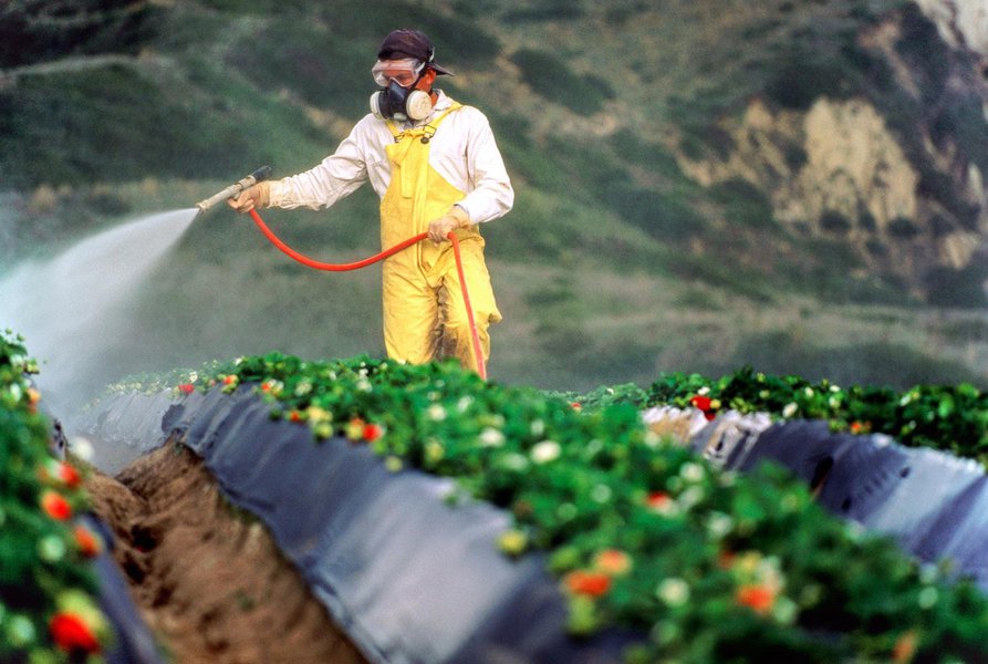 Monsanto é condenada a pagar US$289 mi em 1º julgamento de câncer relacionado ao Roundup