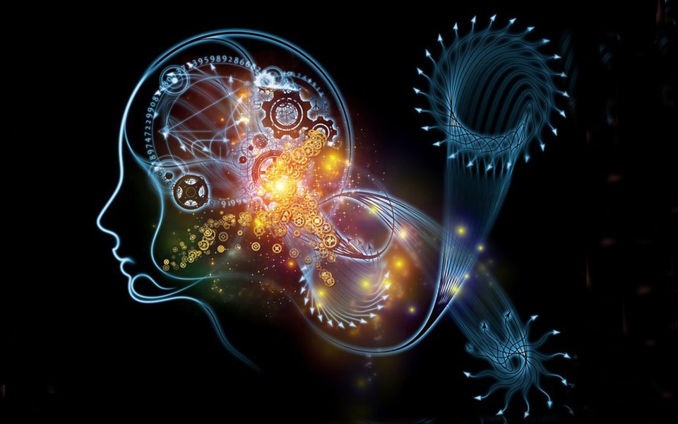 Cérebro humano.  Verdades e mentiras sobre nosso órgão pensante   