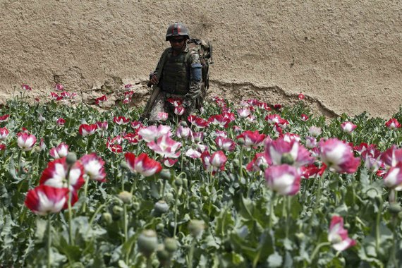 Paraíso da heroína floresce sob a tutela da Otan