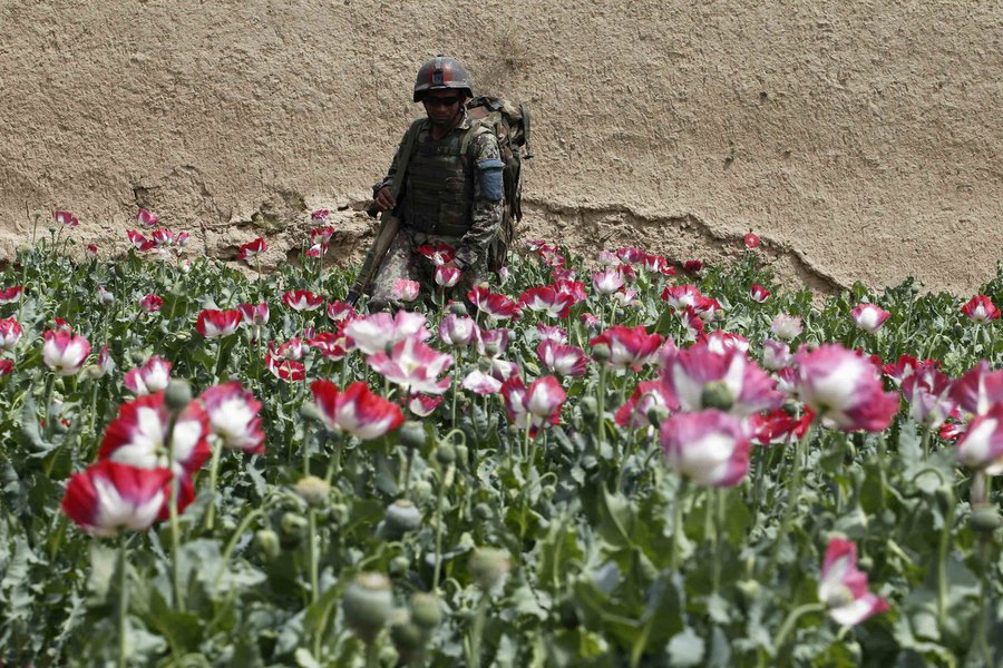 Paraíso da heroína floresce sob a tutela da Otan