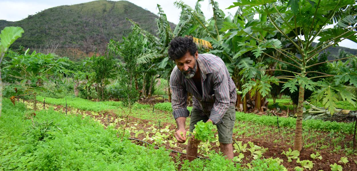 agricultura familiar e desenvolvimento rural da Bahia