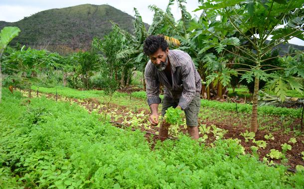 agricultura familiar e desenvolvimento rural da Bahia