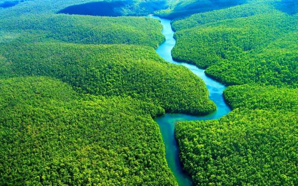 Floresta Amazônica: templo da biodiversidade planetária