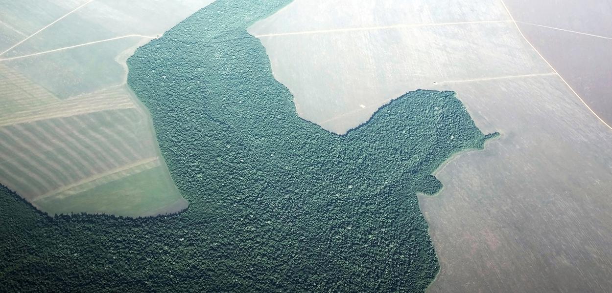 Imagem aérea de desmatamento na cidade de Alta Floresta, no Pará.