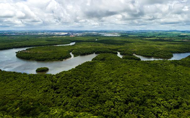 Amazônia: nível de desmatamento está próximo de levar a mudanças irreversíveis na floresta (iStock/Thinkstock)