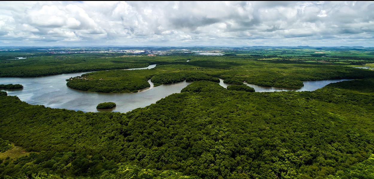 Amazônia: nível de desmatamento está próximo de levar a mudanças irreversíveis na floresta (iStock/Thinkstock)