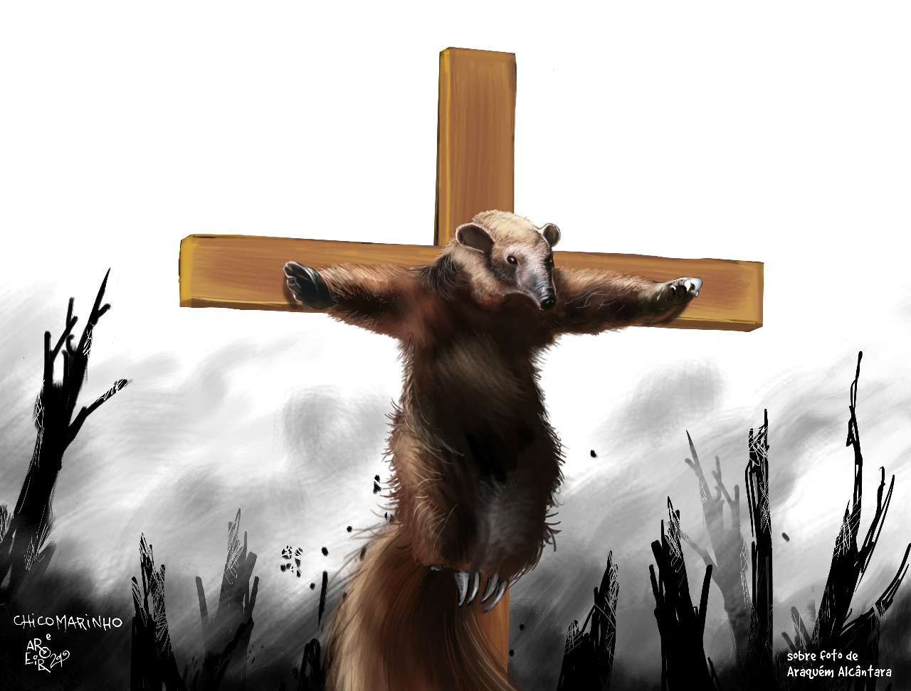 (Foto: Aroeira - Amazônia crucificada)