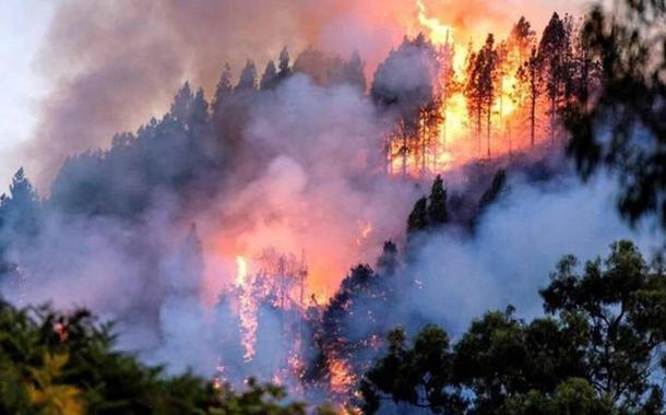 Amazônia, incêndios