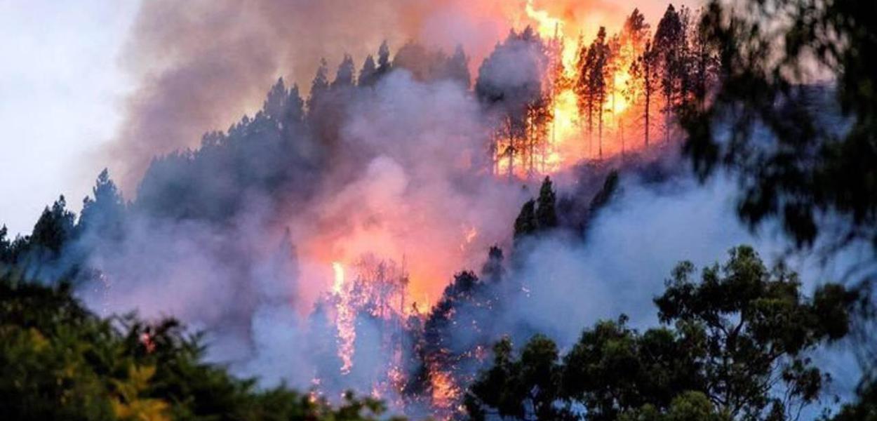 Amazônia, incêndios
