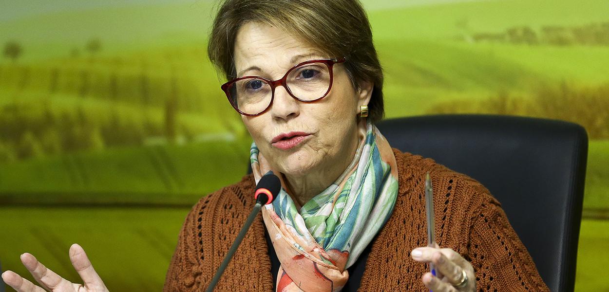 A ministra da Agricultura, Pecuária e Abastecimento, Tereza Cristina