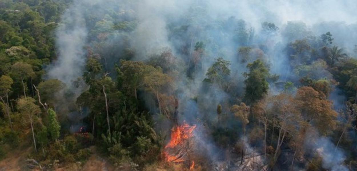 Incêndio na Amazônia