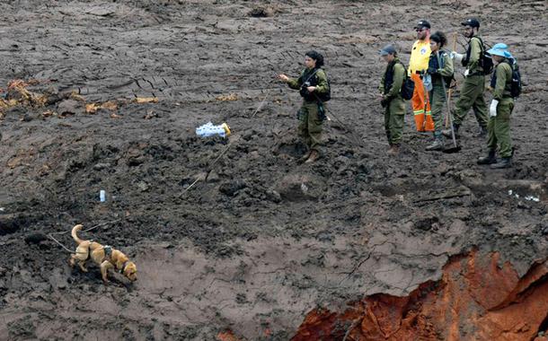 Militares israelenses e equipes de resgate brasileiras durante buscas por vÃ­timas em Brumadinho, onde uma barragem da mineradora Vale se rompeu.