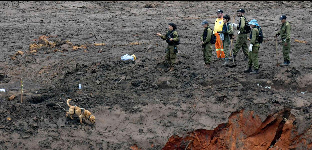 Militares israelenses e equipes de resgate brasileiras durante buscas por vÃ­timas em Brumadinho, onde uma barragem da mineradora Vale se rompeu.