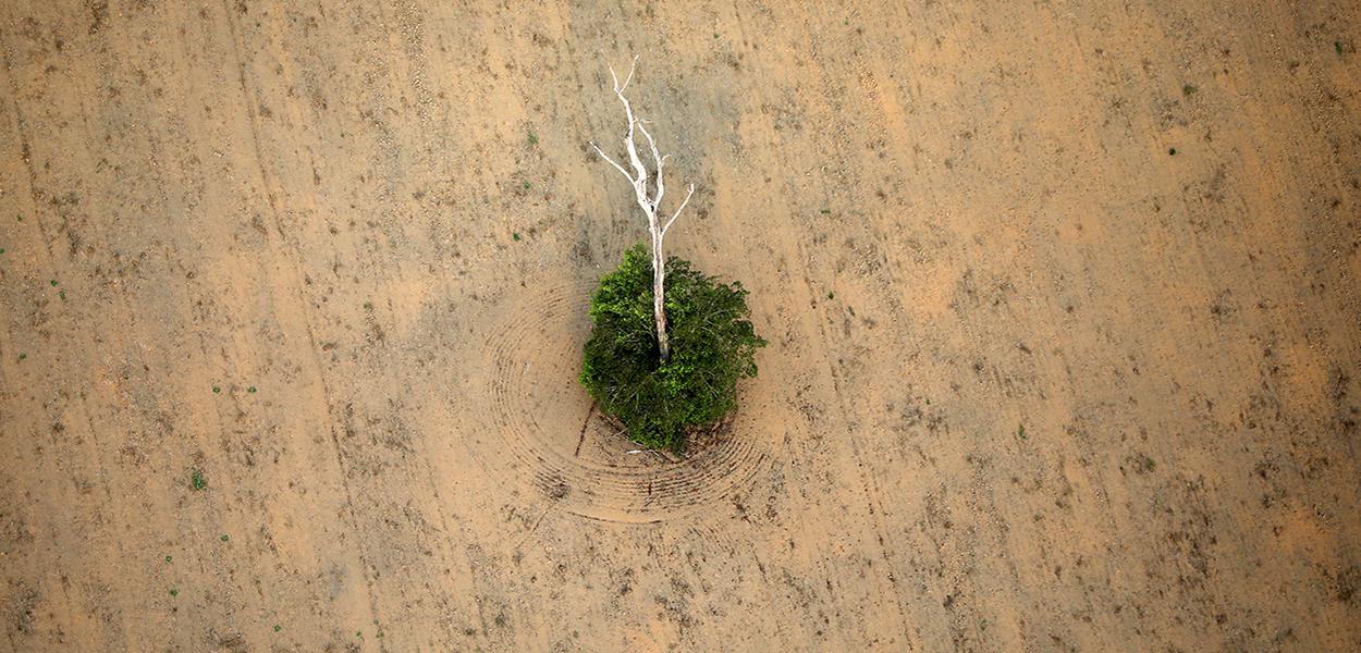 Trecho desmatado da floresta amazônica perto de Porto Velho