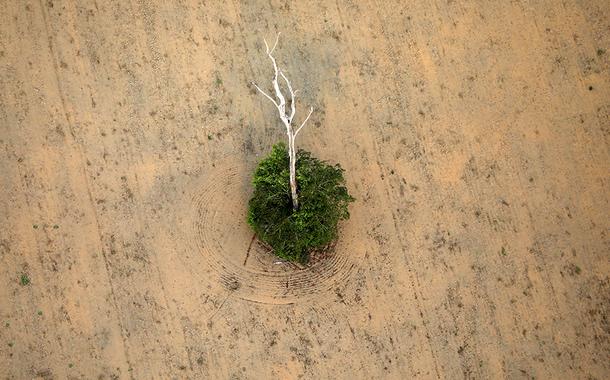 Trecho desmatado da floresta amazônica perto de Porto Velho