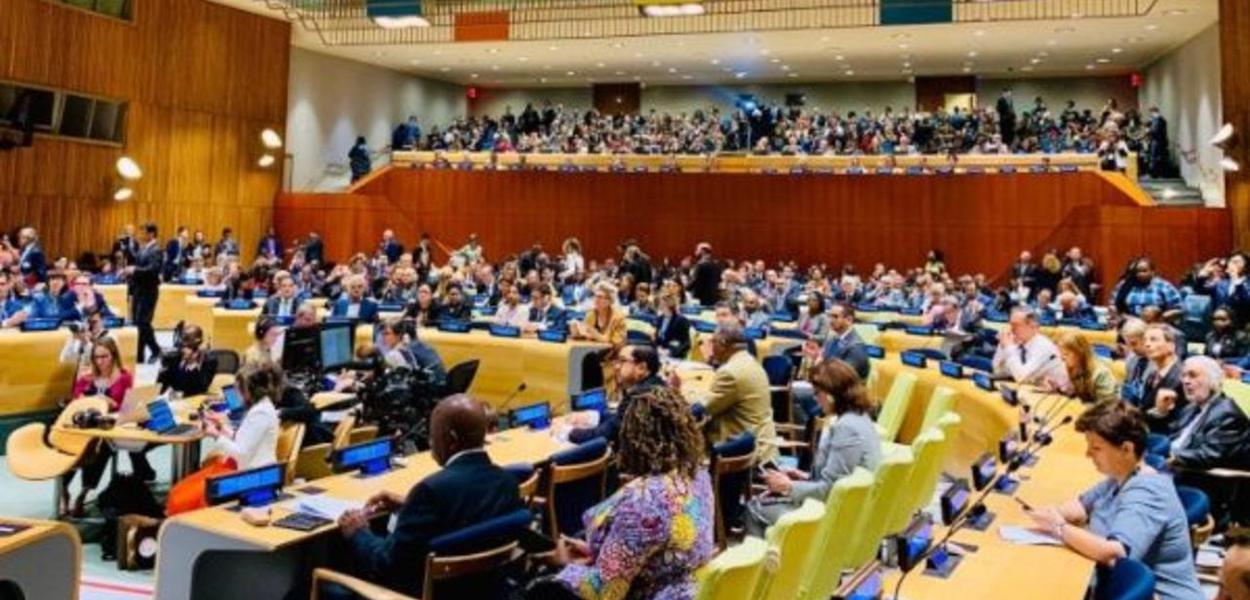Assembleia Geral da ONU